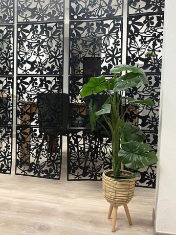 רומא Residence Morena מראה חיצוני תמונה